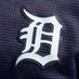 Detroit Sports Fan (@Det_sportsfan) Twitter profile photo