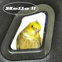 M.Ohsawa (@platina) Twitter profile photo