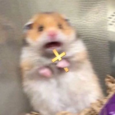 ScalywagKing's profile picture. Moderation? Never heard of her