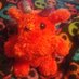 Rummy & the Lil dragons (@herebelildragon) Twitter profile photo Rummy & the Lil dragons (@herebelildragon) Twitter profile photo