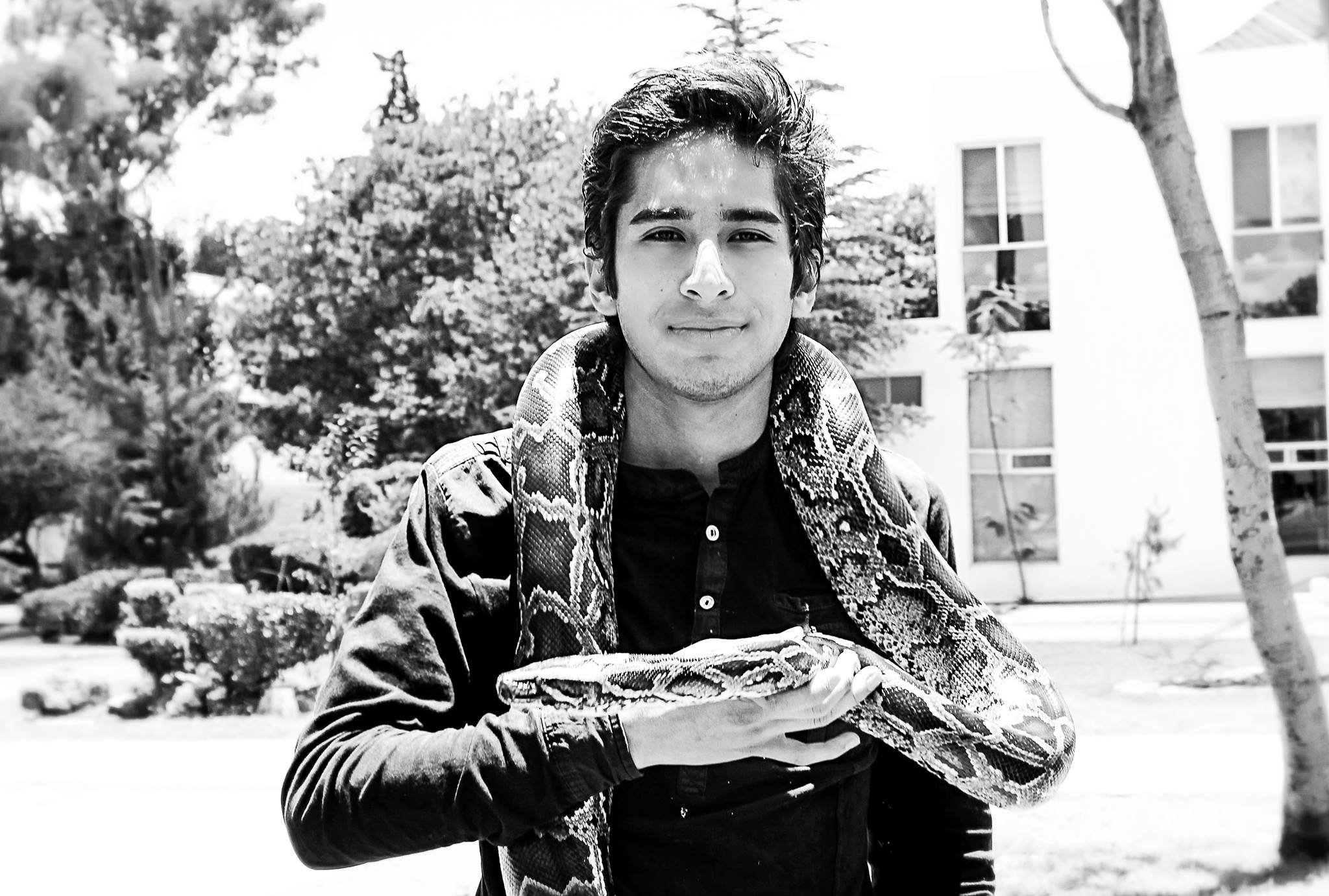 LSols4's profile picture. Soy un curioso empedernido 🕶