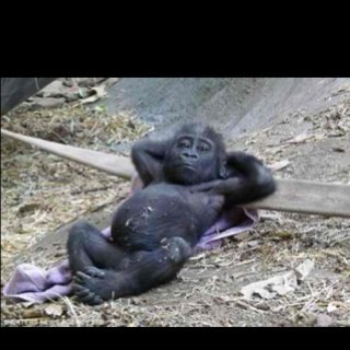 tenjolooi's profile picture. 