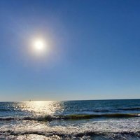 Mark Goldfinger (@markgoldfinger3) 's Twitter Profile