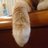 pachioのアイコン