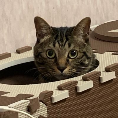 mac25330817's profile picture. ゆるゆる、のびのび、まったりと。