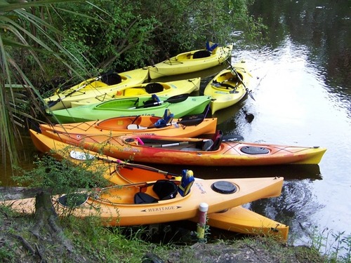 OleCaptSteve's profile picture. The New Green is Blue, Save our Waterways