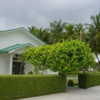 Bandidhoo Health Centre (@bandidhoohc) 's Twitter Profile