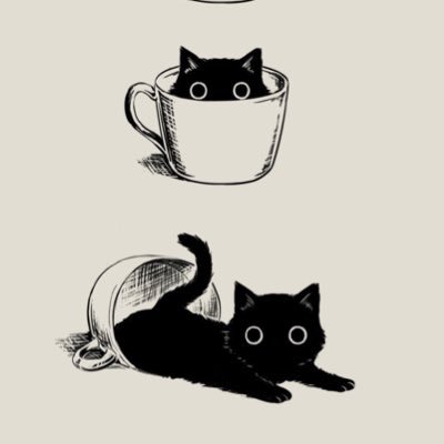 mikazuki_nnn's profile picture. CS19 / 橋本環奈 / Lazさんは神 / 最俺、トップ4 / apex pc(dia)、valo(dia)、ow(dps dia)