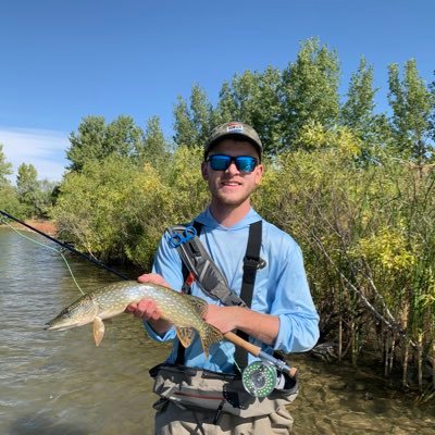 newlonch's profile picture. 