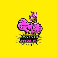 Choke Hole (@choke_hole) 's Twitter Profile