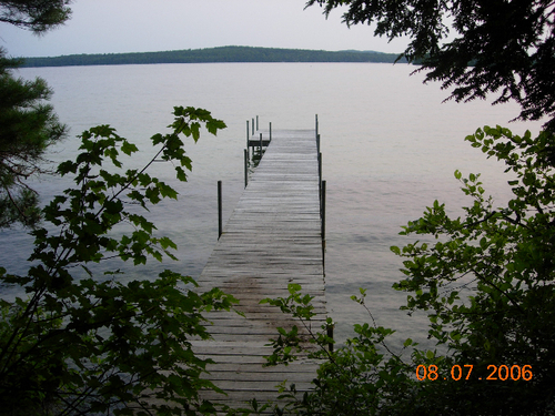 a_llicsirp's profile picture. and when i lose myself i think of you