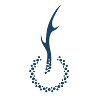 Antleron (@antleron) 's Twitter Profile