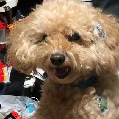 村山 美樹也 Jintaaji Twitter 村山 美樹也 Jintaaji Twitter