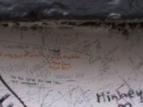 bobblehead2k8's profile picture. follow me & ill follow back!