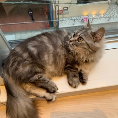 sakipon64715803's profile picture. 