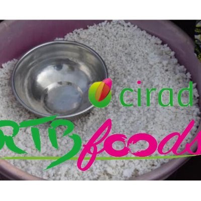RtBfoods's profile picture. Breeding RTB products for end user preferences : RTBfoods Project #cassava #yam #sweetpotato #plantain #manioc #Benin #Cameroon #Ivorycoast #Nigeria #Uganda