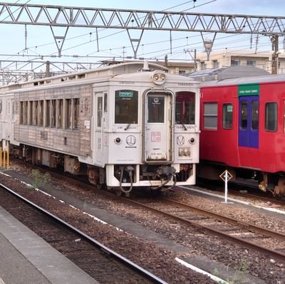 南の方の田舎に住んでます(笑) 仲良くしてくださいね～ 田舎すぎて出会いがない😂
