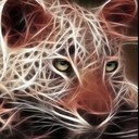 Romolo Olivieri - @Al3JanDro456 - Twitter