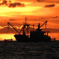 Fishery and Maritime photography 📷📸(@VisserijS) 's Twitter Profile Photo