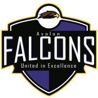 Avalon Elementary (@falconsavalon) 's Twitter Profile Photo Avalon Elementary (@falconsavalon) 's Twitter Profile Photo