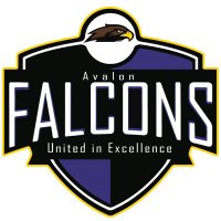 Avalon Elementary(@FalconsAvalon) 's Twitter Profileg