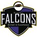 Avalon Elementary (@FalconsAvalon) Twitter profile photo