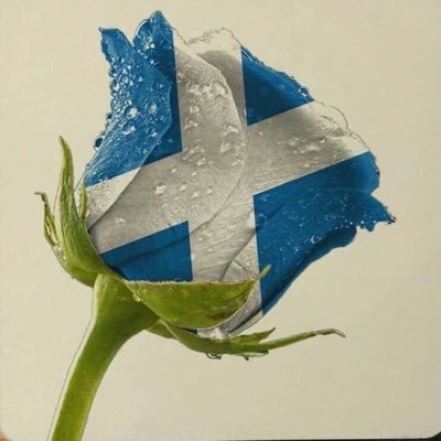 FeistyScotland's profile picture. Feminist, anti-Trident and passionate campaigner for independence, social justice and gender equality.