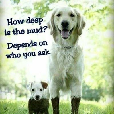 MayorofCA's profile picture. 