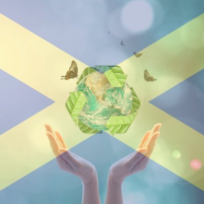 St_Albans_Eco's profile picture. With a focus on home and family life - finding our way to net carbon zero and helping each other live more sustainable lives