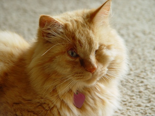 KimJcreations's profile picture. Handmade one of a kind jewelry!