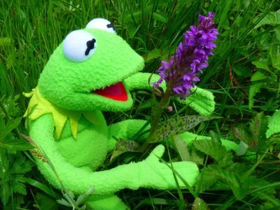 Baldur02715410's profile picture. 