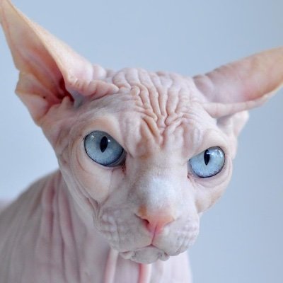 YimHdy's profile picture. 