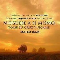 6 Jesús le dijo : Yo soy el camino , y la verdad , y la vida ; nadie viene al Padre , sino por mi .

Juan 14 : 6