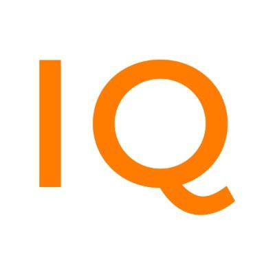 Information IQ - Digital Consulting