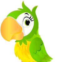Parakeets FC (@parakeets_fc) 's Twitter Profile