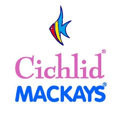 Uzivatel Cicek Tekstil Na Twitteru Cicektekstil Cichlid Mackays Tekstil Imalat Toptan Cocukgiyim Zeytinburnu Laleli