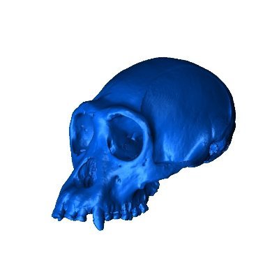 @BioAnth_UniKent