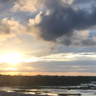 the student driven Biology, Environmental & Marine Science Service Learning Project @flaglerschools! Facilitator: @medearis_pbl #ForeverFlagler #BeTheChange