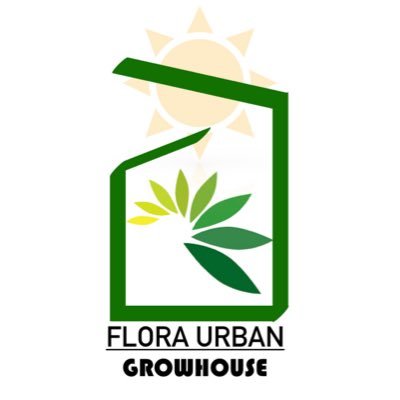 Urban Greenhouse providing fresh vegetables of various genetics. DM for enquiries or email floragreenhouses.ng@gmail.com