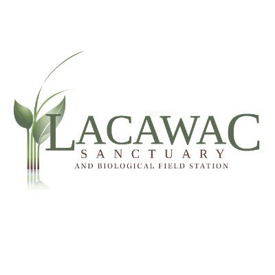 LacawacSanct Profile Picture