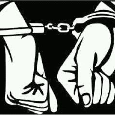 GulIi_maar's profile picture. sports