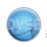 DVSE (@dvse_) 's Twitter Profile