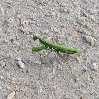 Filippo91 (@filippo9110) 's Twitter Profile