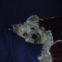 Susan Jenkinson - @jenks311 - Twitter