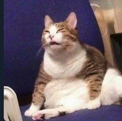 josee_luizz's profile picture. 