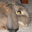 Laura Bertrand - @laurarae33 - Twitter