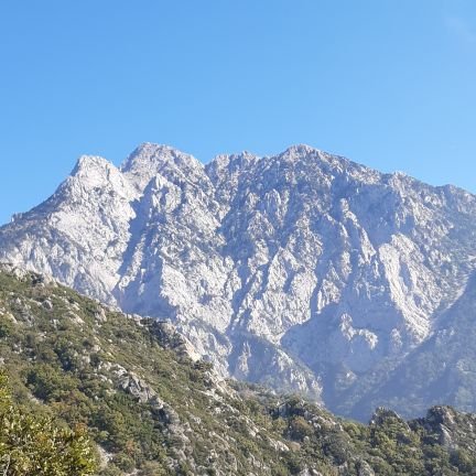 Vitaliy87912185's profile picture. 