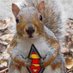 Turbo Squirrel 🐿🇺🇸 (@turbo_squirrel) Twitter profile photo