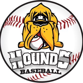 houndsplayball Profile Picture