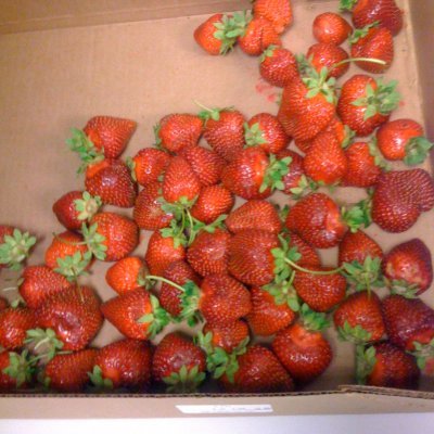 akshatp's profile picture. 